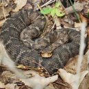 정산농장 이미지