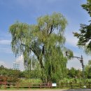 보라매안전체험관 이미지