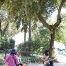 음악으로 떠나는 세계여행 - 안녕, 로마 | 로마여행 코스 트레비분수, 스페인광장, 보르게세미술관, 야경구경 후기 및 유의사항