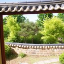 박차정의사생가 | 박차정의사생가 방문 후기: 과거 속 초록 속의 향수