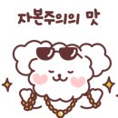 더나은펫샵 이미지