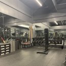 포커스짐 이미지