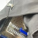 이앤박동물병원 | 6. 기침하는 젤리 병원 데리고 가기😭