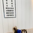 새솔동물병원 이미지