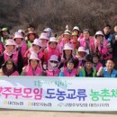 대호지농업협동조합 이미지