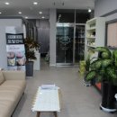 로틸리아 이미지