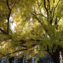 하곡마을 이미지