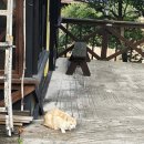 너마늘위한치킨 이미지