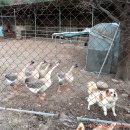 광산2리경로당 이미지