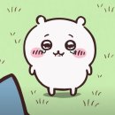 24.08.4쥬