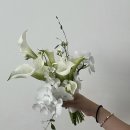 포항시남구67 이미지