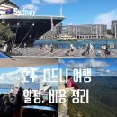 호주 시드니 여행 일정과 경비, 4박 5일 추천 코스 및 꿀팁까지