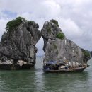 혜광약국 이미지