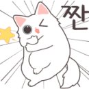 사천셀프세차타운 이미지