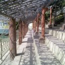 민안초등 이미지