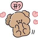 애견펜션 돌봄 이미지