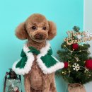 멍블리즈 이미지