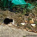 생각나네민박 이미지