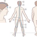 아이로움 네이버블로그
