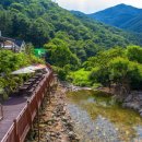 라비타키즈풀빌라 이미지