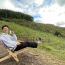 슬기로운 초록생활 이미지