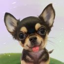 강아지그림
