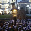 엠제이호텔 이미지