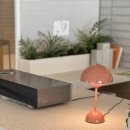 우쭈쭈 강아지 이미지