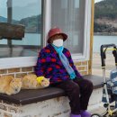 두나펫 코리아 이미지