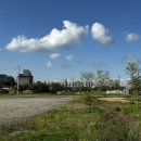 당진야구장 이미지