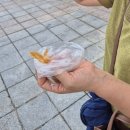 아마의 맹점 | 대한민국 전통주,막걸리 총 집합, 축제 현장을 가다