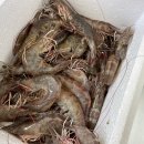 창내농장 이미지