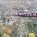 구이섭농장 | 뉴질랜드여행후기 5일차 애로우타운,번지점프,켄터베리대평원의 멋짐