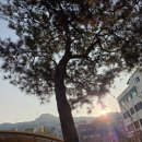 (주)누라임게임즈 | "자살위기상담 어떻게 할 것인가?" 정택수 교수 특강 후기