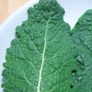 뉴그린(토스카노) Brassica oleracea var. botrytis italiana 이미지