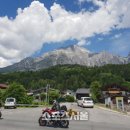 레오호프 이미지