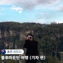 호주 시드니 자유여행 블루마운틴 기차 비용 요금 타는법