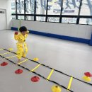 신세계태권도장 이미지