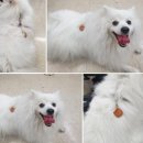 내장축산 이미지