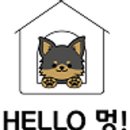 Hello멍 이미지