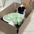 영희농장 | [ 쉬바 ] 멜티 5종 버라이어티 후기