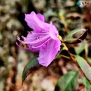 원주굽이길 원5코스 간현봉길 이미지