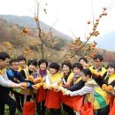 원이농장 이미지