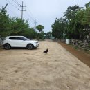 농업회사법인에코팜주식회사 이미지