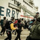 판도라의 숲 이미지