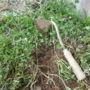 앞뜰농장 이미지