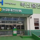 인삼농협판매장 Daum카페