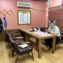 대청마루옛날손짜장 이미지