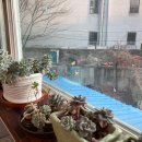 베스트빈커피 이미지