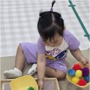 숲속하나몬테소리어린이집 | 자연 속 숲생태놀이와 몬테소리교육의 특별함을 담은 하남시어린이집, 사랑몬테소리 이야기
